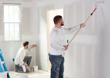 How to Paint NEW Dry Wall? - El Gato Painting